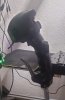IMG_0145.jpeg