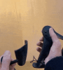 index.gif
